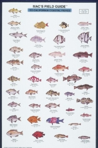 Cover of Mac's Field Guides: California Coastal Fish