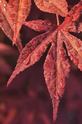 Cover of Brilliant Red Maple Leaves Covered in Morning Dew Journal