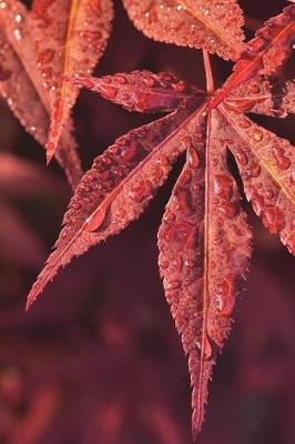 Book cover for Brilliant Red Maple Leaves Covered in Morning Dew Journal