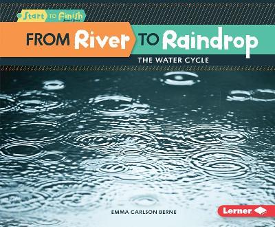 Book cover for From River to Raindrop