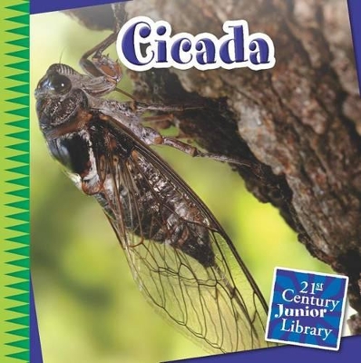 Book cover for Cicada