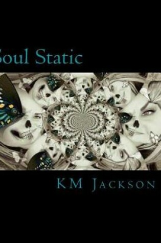 Cover of Soul Static