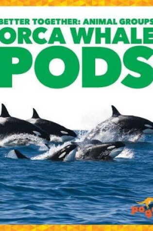 Cover of Orca Whale Pods