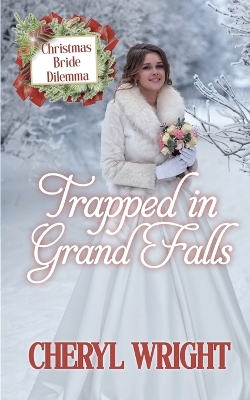 Cover of Trapped in Grand Falls