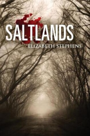 Cover of Saltlands, Population #2 (interracial post apocalyptic scifi romance)