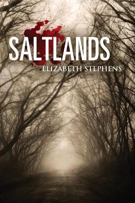 Book cover for Saltlands, Population #2 (interracial post apocalyptic scifi romance)