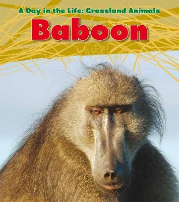 Book cover for Baboon