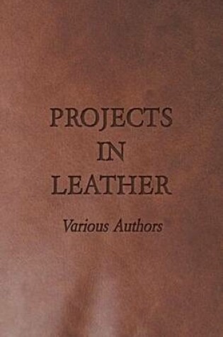 Cover of Projects in Leather