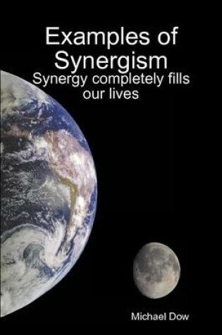 Cover of Examples of Synergism: Synergy Completely Fills Our Lives
