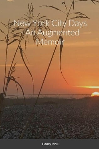 Cover of New York City Days - An Augmented Memoir