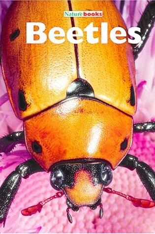 Cover of Beetles