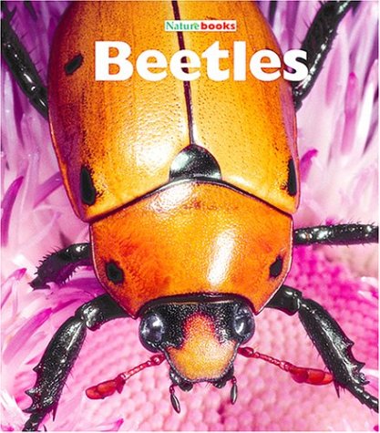 Book cover for Beetles