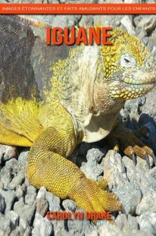Cover of Iguane