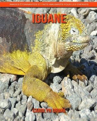 Book cover for Iguane