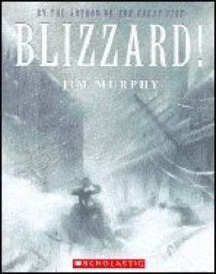 Book cover for Blizzard!