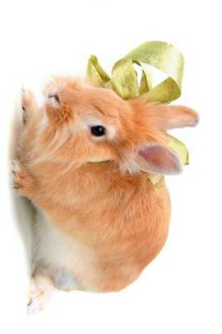 Cover of Side Profile of a Cute Little Bunny Rabbit with a Green Bow