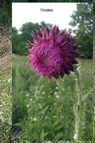 Cover of Thistles