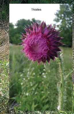 Book cover for Thistles