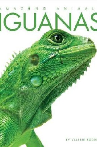 Cover of Amazing Animals: Iguanas