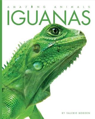 Book cover for Amazing Animals: Iguanas