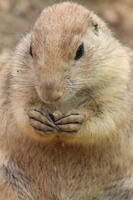 Book cover for Prairie Dog Notebook