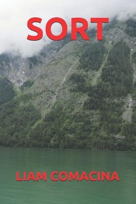 Book cover for Sort