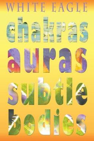 Cover of Chakras Auras Subtle Bodies