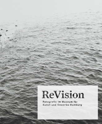 Book cover for ReVision