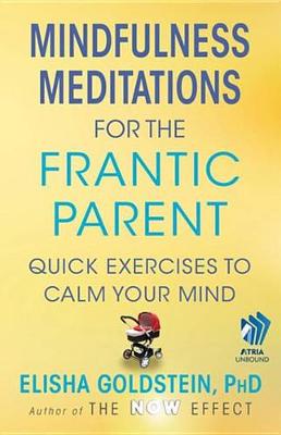 Book cover for Mindfulness Meditations for the Frantic Parent