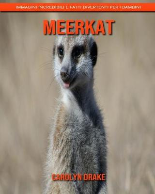 Book cover for Meerkat