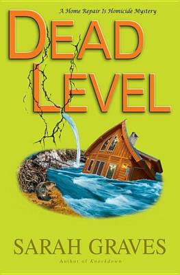Book cover for Dead Level