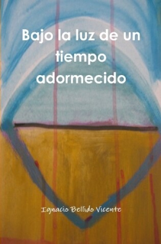 Cover of Bajo La Luz De Un Tiempo Adormecido