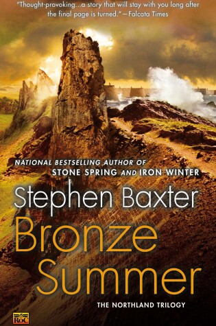 Cover of Bronze Summer