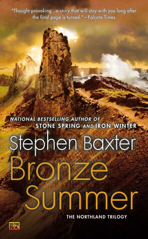 Book cover for Bronze Summer