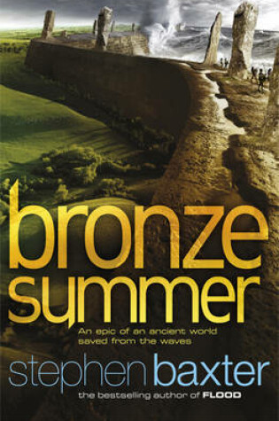 Cover of Bronze Summer