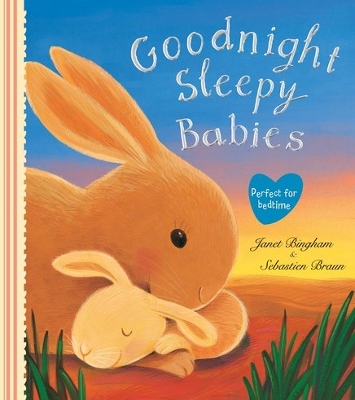 Book cover for Goodnight Sleepy Babies