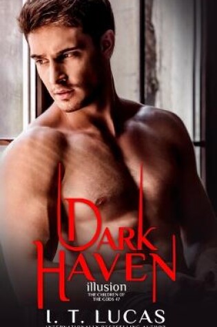 Cover of Dark Haven Illusion