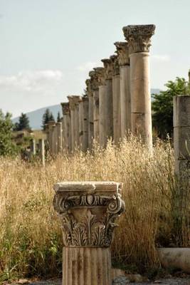 Book cover for Ancient Ruins at Ephesus Greece Journal