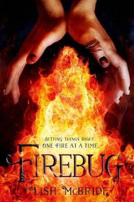 Book cover for Firebug