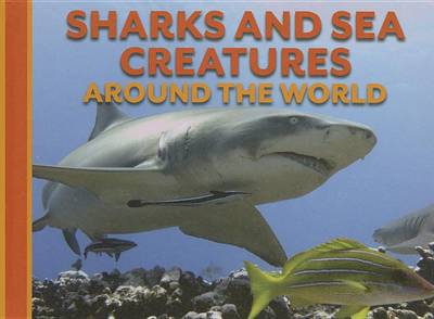 Book cover for Sharks and Sea Creatures Around the World