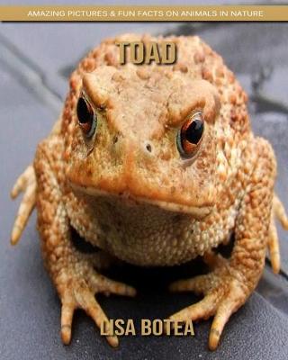 Book cover for Toad