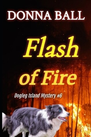 Cover of Flash of Fire