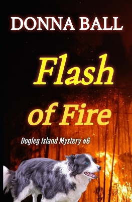 Cover of Flash of Fire