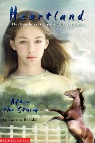 Cover of After the Storm