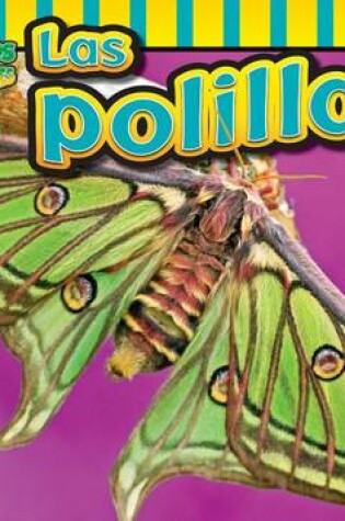 Cover of Las Polillas