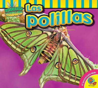 Cover of Las Polillas