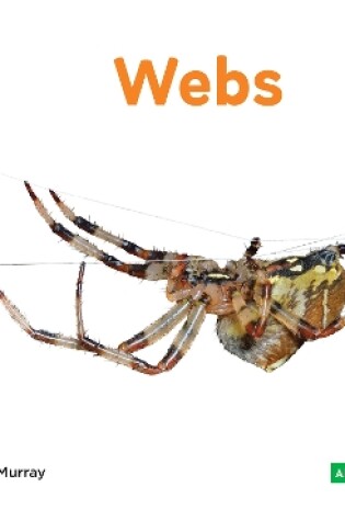 Cover of Animal Homes: Webs