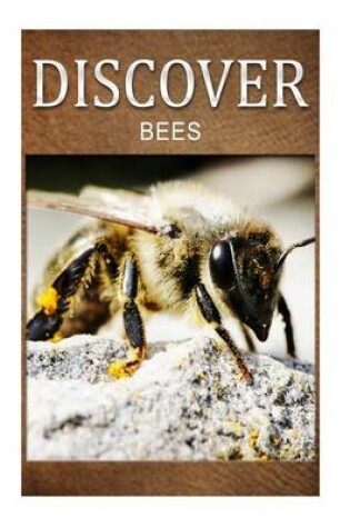 Cover of Bees - Discover