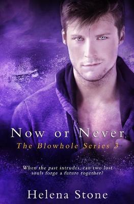 Book cover for Now or Never