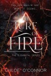 Book cover for The Lure of Fire